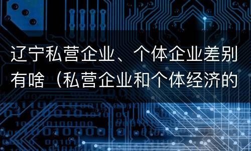 辽宁私营企业、个体企业差别有啥（私营企业和个体经济的区别）