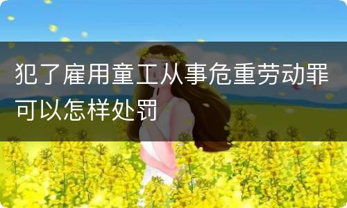 犯了雇用童工从事危重劳动罪可以怎样处罚
