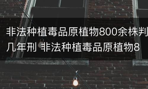非法种植毒品原植物800余株判几年刑 非法种植毒品原植物800余株判几年刑罚