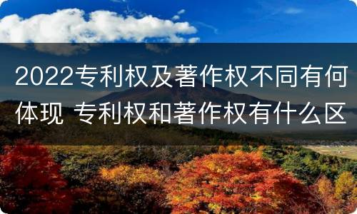 2022专利权及著作权不同有何体现 专利权和著作权有什么区别