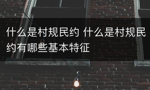 什么是村规民约 什么是村规民约有哪些基本特征