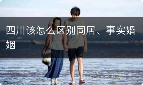 四川该怎么区别同居、事实婚姻
