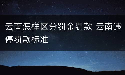 云南怎样区分罚金罚款 云南违停罚款标准
