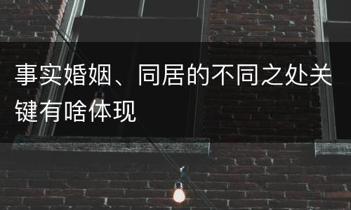 事实婚姻、同居的不同之处关键有啥体现