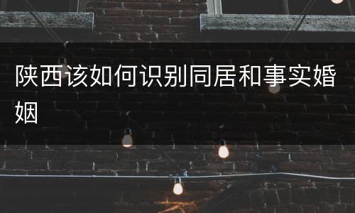 陕西该如何识别同居和事实婚姻