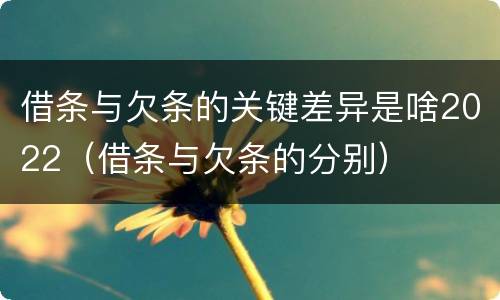 借条与欠条的关键差异是啥2022（借条与欠条的分别）