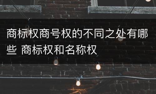 商标权商号权的不同之处有哪些 商标权和名称权
