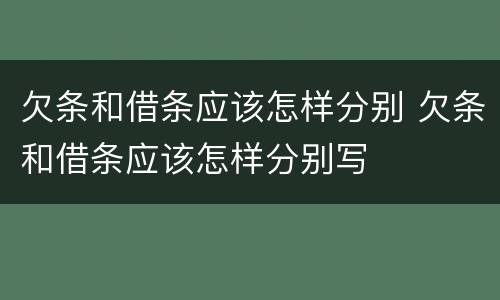 欠条和借条应该怎样分别 欠条和借条应该怎样分别写
