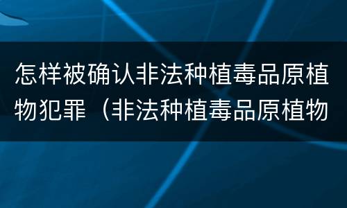怎样被确认非法种植毒品原植物犯罪（非法种植毒品原植物罪情节严重）