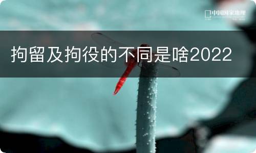 拘留及拘役的不同是啥2022