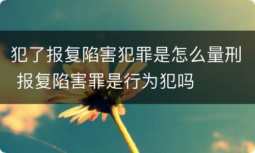 犯了报复陷害犯罪是怎么量刑 报复陷害罪是行为犯吗