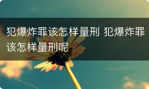 犯爆炸罪该怎样量刑 犯爆炸罪该怎样量刑呢