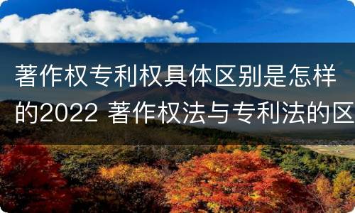 著作权专利权具体区别是怎样的2022 著作权法与专利法的区别