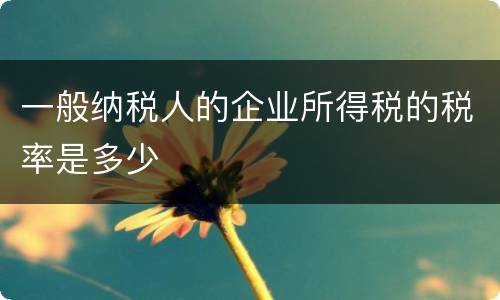 一般纳税人的企业所得税的税率是多少