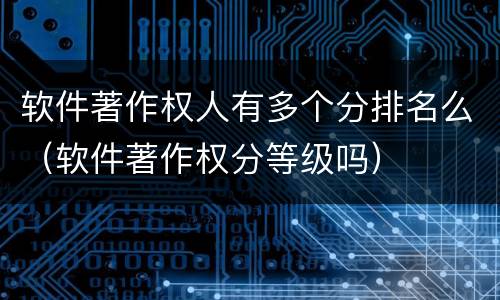 软件著作权人有多个分排名么（软件著作权分等级吗）