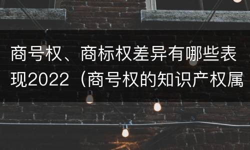 商号权、商标权差异有哪些表现2022（商号权的知识产权属性）