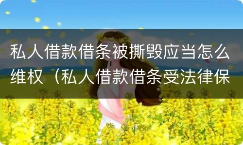 私人借款借条被撕毁应当怎么维权（私人借款借条受法律保护吗）
