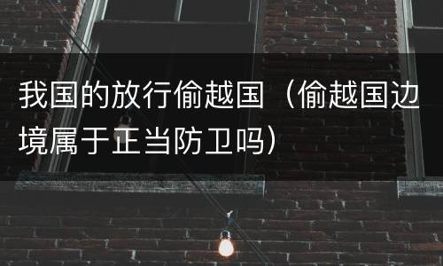 我国的放行偷越国（偷越国边境属于正当防卫吗）