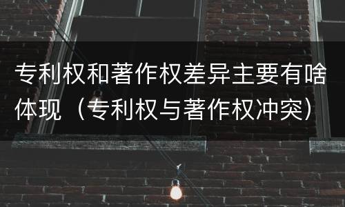 专利权和著作权差异主要有啥体现（专利权与著作权冲突）