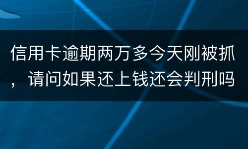 信用卡逾期两万多今天刚被抓，请问如果还上钱还会判刑吗