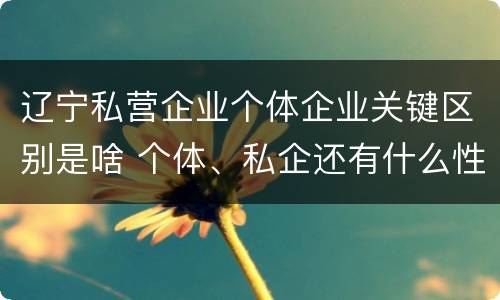 辽宁私营企业个体企业关键区别是啥 个体、私企还有什么性质