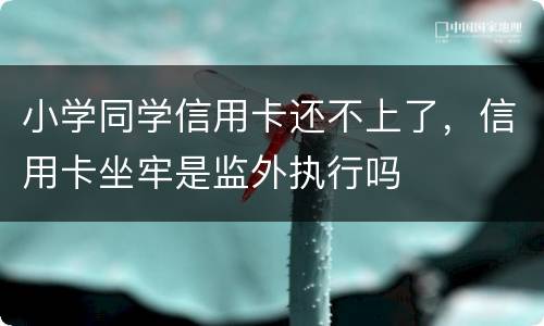 小学同学信用卡还不上了，信用卡坐牢是监外执行吗