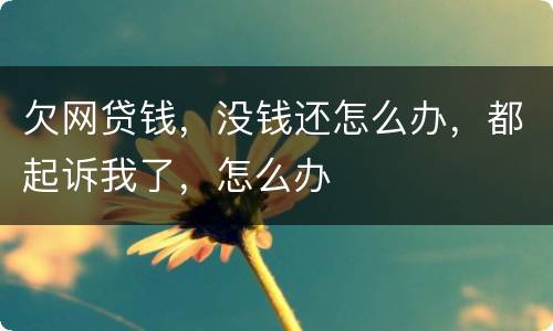 欠网贷钱，没钱还怎么办，都起诉我了，怎么办