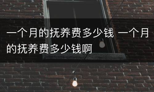 一个月的抚养费多少钱 一个月的抚养费多少钱啊
