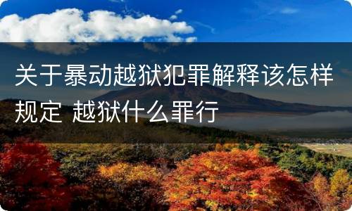关于暴动越狱犯罪解释该怎样规定 越狱什么罪行