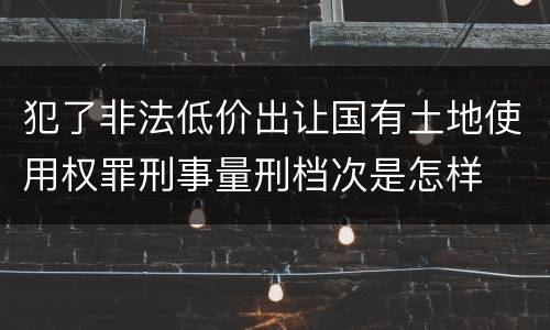 犯了非法低价出让国有土地使用权罪刑事量刑档次是怎样