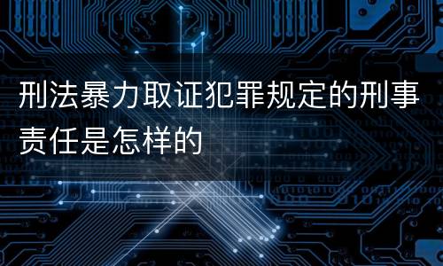 刑法暴力取证犯罪规定的刑事责任是怎样的