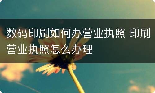 数码印刷如何办营业执照 印刷营业执照怎么办理