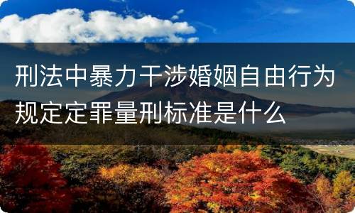 刑法中暴力干涉婚姻自由行为规定定罪量刑标准是什么
