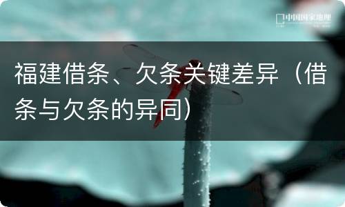 福建借条、欠条关键差异（借条与欠条的异同）