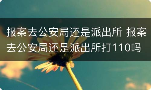 报案去公安局还是派出所 报案去公安局还是派出所打110吗