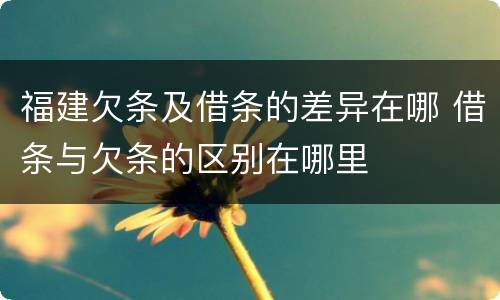 福建欠条及借条的差异在哪 借条与欠条的区别在哪里