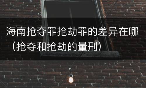 海南抢夺罪抢劫罪的差异在哪（抢夺和抢劫的量刑）