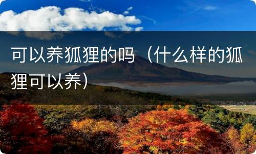 可以养狐狸的吗（什么样的狐狸可以养）