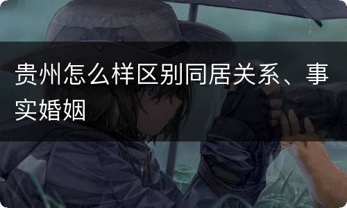 贵州怎么样区别同居关系、事实婚姻