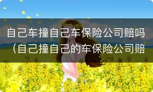 自己车撞自己车保险公司赔吗（自己撞自己的车保险公司赔吗）