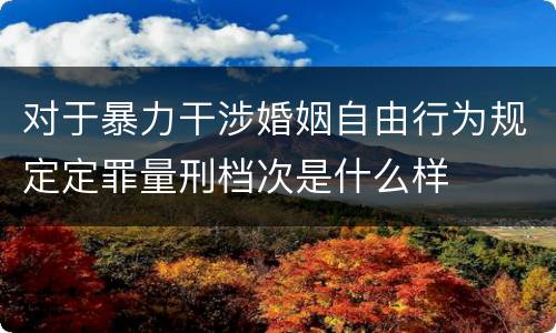 对于暴力干涉婚姻自由行为规定定罪量刑档次是什么样