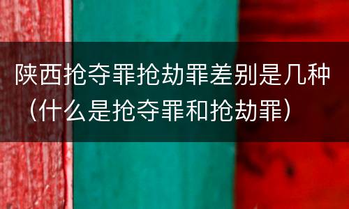 陕西抢夺罪抢劫罪差别是几种（什么是抢夺罪和抢劫罪）