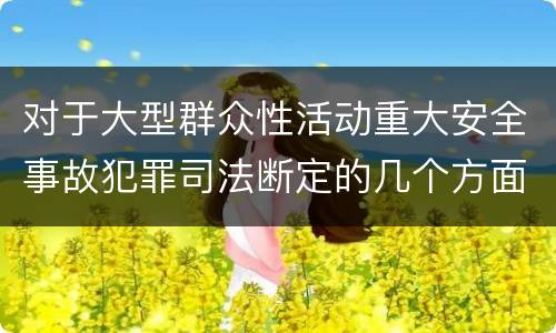 对于大型群众性活动重大安全事故犯罪司法断定的几个方面