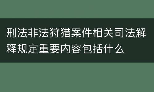 刑法非法狩猎案件相关司法解释规定重要内容包括什么