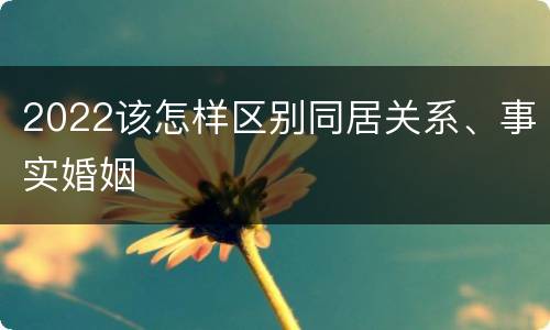 2022该怎样区别同居关系、事实婚姻
