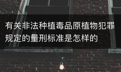 有关非法种植毒品原植物犯罪规定的量刑标准是怎样的