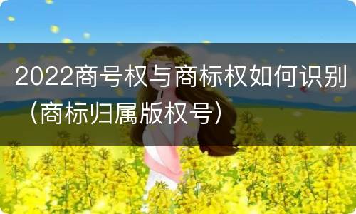 2022商号权与商标权如何识别（商标归属版权号）