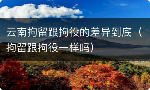云南拘留跟拘役的差异到底（拘留跟拘役一样吗）