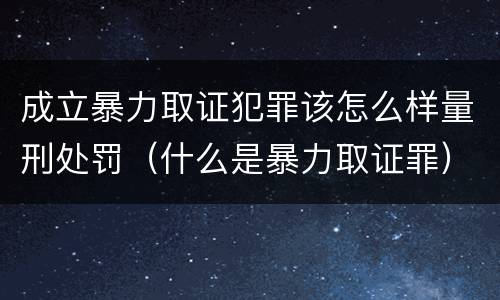 成立暴力取证犯罪该怎么样量刑处罚（什么是暴力取证罪）