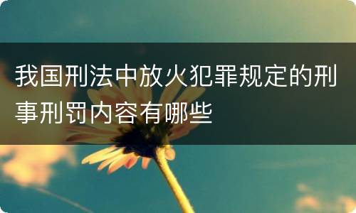 我国刑法中放火犯罪规定的刑事刑罚内容有哪些